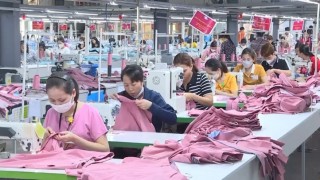 Thanh Hóa thúc đẩy sản xuất xanh, nâng tầm hàng xuất khẩu