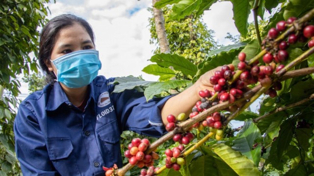 Bộ Công Thương thông tin về Nghị định 280 của Trung Quốc