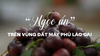 “Ngọc ẩn” Trên vùng đất mây phủ Lào Cai
