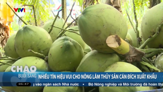 Xuất khẩu ngành nông nghiệp có thể đạt 67 tỷ USD