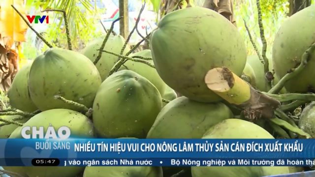 Xuất khẩu ngành nông nghiệp có thể đạt 67 tỷ USD