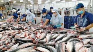 Bộ Công Thương đồng hành, xuất khẩu thủy sản tăng tốc nhờ FTA