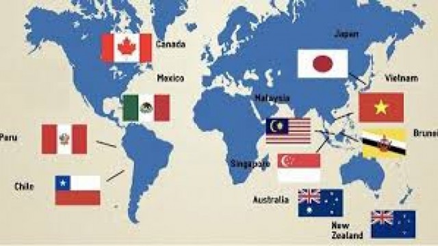Đánh giá và phân tích thông tin tổng quan về tình hình hợp tác, giao thương của việt nam với thị trường thành viên CPTPP trong 5 tháng đầu năm 2025