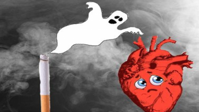 Hút thuốc lá có nguy cơ nhồi máu cơ tim cao gấp 2–4 lần