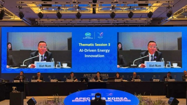 Hội nghị Bộ trưởng năng lượng APEC lần thứ 15