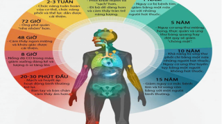 Những thay đổi của cơ thể sau khi cai thuốc lá dưới góc nhìn khoa học