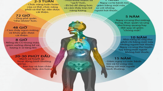 Những thay đổi của cơ thể sau khi cai thuốc lá dưới góc nhìn khoa học