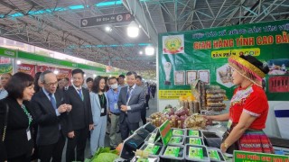 Cơ hội cho sản phẩm OCOP từ sự chuyển hướng tiêu dùng an toàn