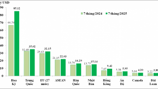 Tình hình xuất khẩu, nhập khẩu hàng hóa của Việt Nam trong tháng 7 và 7 tháng năm 2025