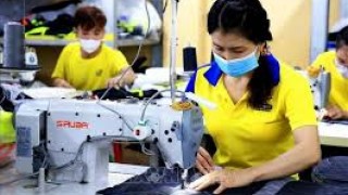 Bản tin Thông tin thương mại chuyên ngành Dệt may