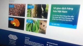 Lấy ý kiến góp ý dự thảo Nghị định quy định chi tiết Luật Thương mại về hoạt động mua bán hàng hóa qua Sở Giao dịch hàng hóa (thay thế Nghị định số 158/2006/NĐ-CP và Nghị định số 51/2018/NĐ-CP)