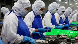 Từ lợi thế FTA đến sức ép phòng vệ: Phát huy sức mạnh ‘bó đũa’