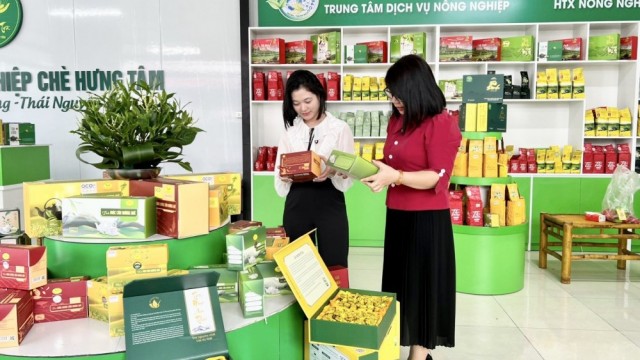 Hỗ trợ doanh nghiệp tiếp cận, ứng dụng hiệu quả công nghệ xanh