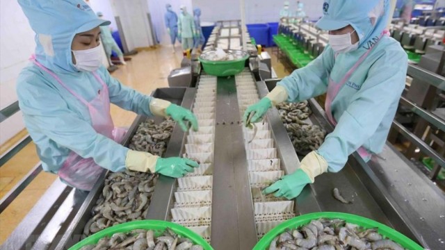 Tôm chân trắng dẫn dắt tăng trưởng, tôm sú phục hồi ở phân khúc cao cấp tính đến tháng 5, liệu có chững lại trong tháng 6? 
