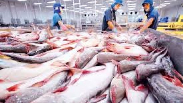 Tháng 5/2025: Xuất khẩu thủy sản Việt Nam tăng tốc trong “thời gian vàng” 