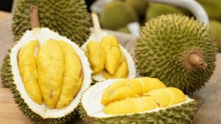 Giải pháp nào cho phát triển sầu riêng bền vững?