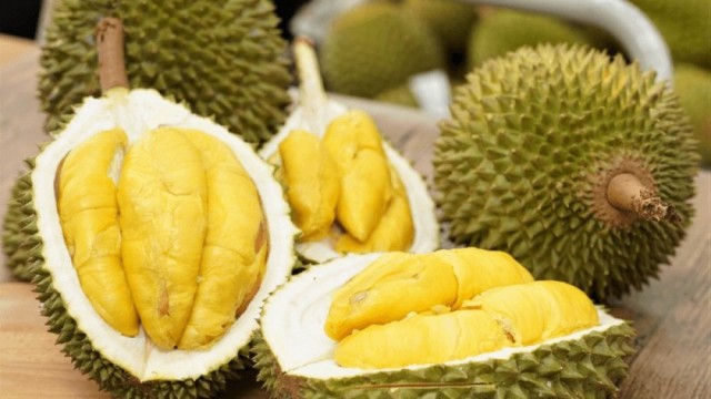 Giải pháp nào cho phát triển sầu riêng bền vững?
