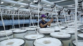 Indonesia ban hành Kết luận cuối cùng vụ việc điều tra tự vệ đối với sợi bông nhập khẩu