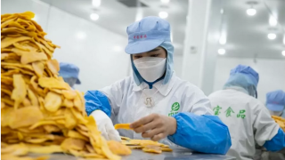 Việt Nam đạt Top 5 thị trường xuất khẩu của Campuchia