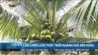 Tăng thêm lợi thế cạnh tranh cho dừa Việt Nam