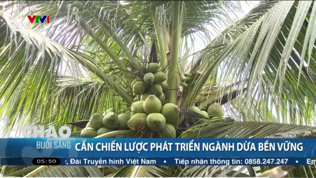Tăng thêm lợi thế cạnh tranh cho dừa Việt Nam