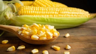 Thị trường nông sản đỏ lửa, giá dầu chạm đáy 4 năm