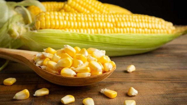 Thị trường nông sản đỏ lửa, giá dầu chạm đáy 4 năm
