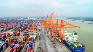 Cục Hải quan vừa có văn bản gửi các Chi cục Hải quan yêu cầu tìm hiểu khó khăn của doanh nghiệp để có giải pháp hỗ trợ trước việc áp thuế đối ứng của Hoa Kỳ.