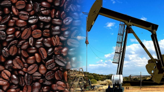Giá dầu phục hồi, giá cà phê Arabica đứt chuỗi tăng 6 phiên