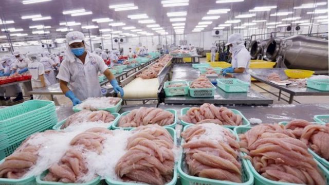Xuất khẩu thủy sản dần phục hồi