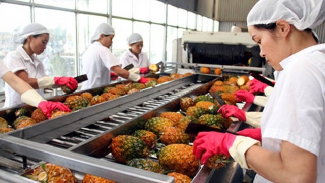 Hỗ trợ đầu tư cơ sở chế biến, bảo quản nông sản tới 15 tỷ đồng/dự án