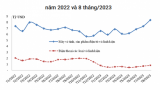 Tình hình xuất khẩu, nhập khẩu hàng hóa của Việt Nam tháng 8 và 8 tháng năm 2023