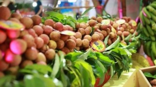 Mời Doanh nghiệp tham dự Hội chợ rau quả tươi Châu Á iFresh lần thứ 16 (iFresh 16)