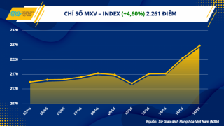 Giá hàng hóa thế giới phục hồi mạnh, chỉ số MXV- Index lên cao nhất hai tháng