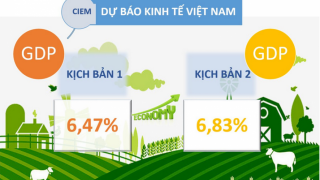 Tình hình kinh tế – xã hội Quý II và 6 tháng đầu năm 2023