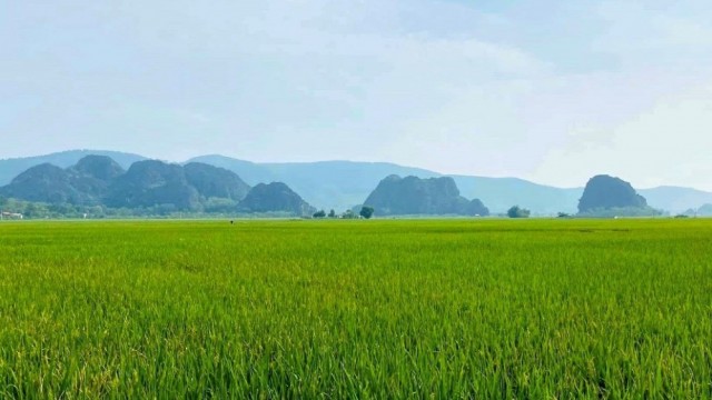 Xây dựng Nghị định của Chính phủ sửa đổi, bổ sung một số Điều của Nghị định số 27/2022/NĐ-CP về quy định cơ chế quản lý, tổ chức thực hiện các chương trình mục tiêu quốc gia 