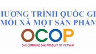 Bộ Công Thương ban hành tiêu chí Điểm giới thiệu và bán sản phẩm thuộc Chương trình Mỗi xã một sản phẩm (OCOP) giai đoạn 2023-2025