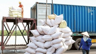 Philippines là khách hàng lớn nhất của gạo Việt