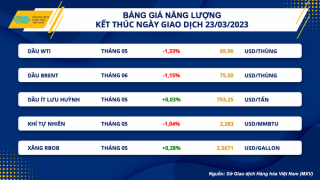 Giá dầu thế giới đảo chiều giảm