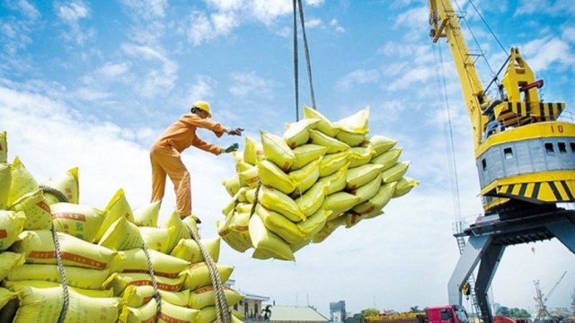 Xuất khẩu gạo có tín hiệu vui