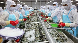 Nhiều dư địa cho hàng hóa Việt thâm nhập vào thị trường UAE trong năm 2023