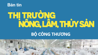BẢN TIN: Thị trường nông, lâm, thủy sản số tổng kết năm 2022 ra ngày 29/12/2022