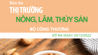 Bản tin thị trường nông, lâm, thủy sản số ra ngày 20/12/2022