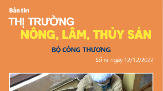 Bản tin thị trường nông, lâm, thủy sản số ra ngày 12/12/2022