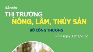 Bản tin thị trường nông, lâm, thủy sản số ra ngày 30/11/2022