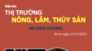 Bản tin thị trường nông, lâm, thủy sản số ra ngày 21/11/2022