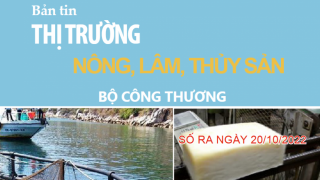 Bản tin thị trường nông, lâm, thủy sản số ra ngày 20/10/2022